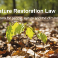 nature-restoration-law