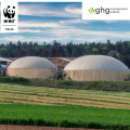 report-wwf-bioenergie